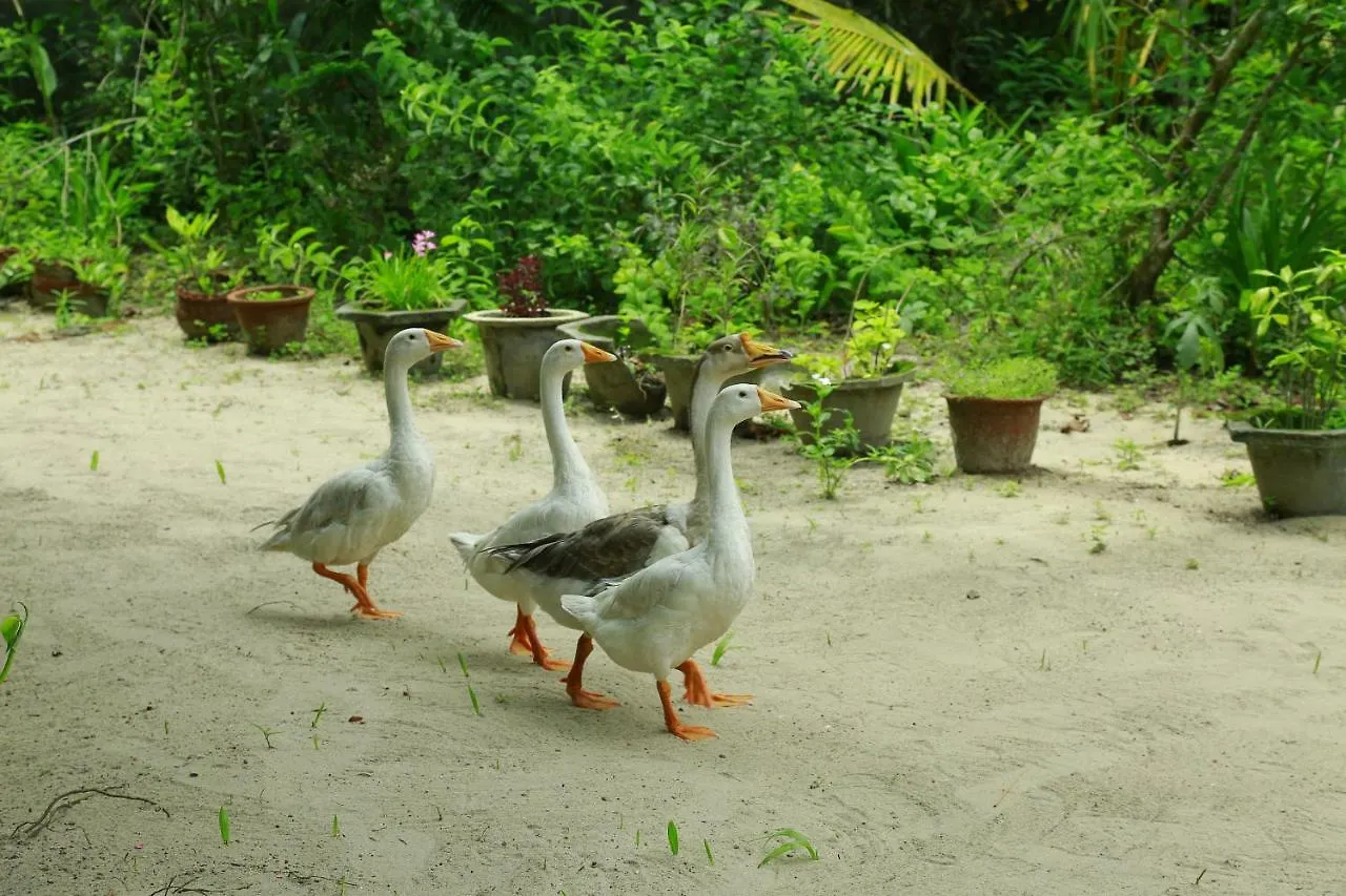 Marari Azhiyakathu Homestay Alappuzha
