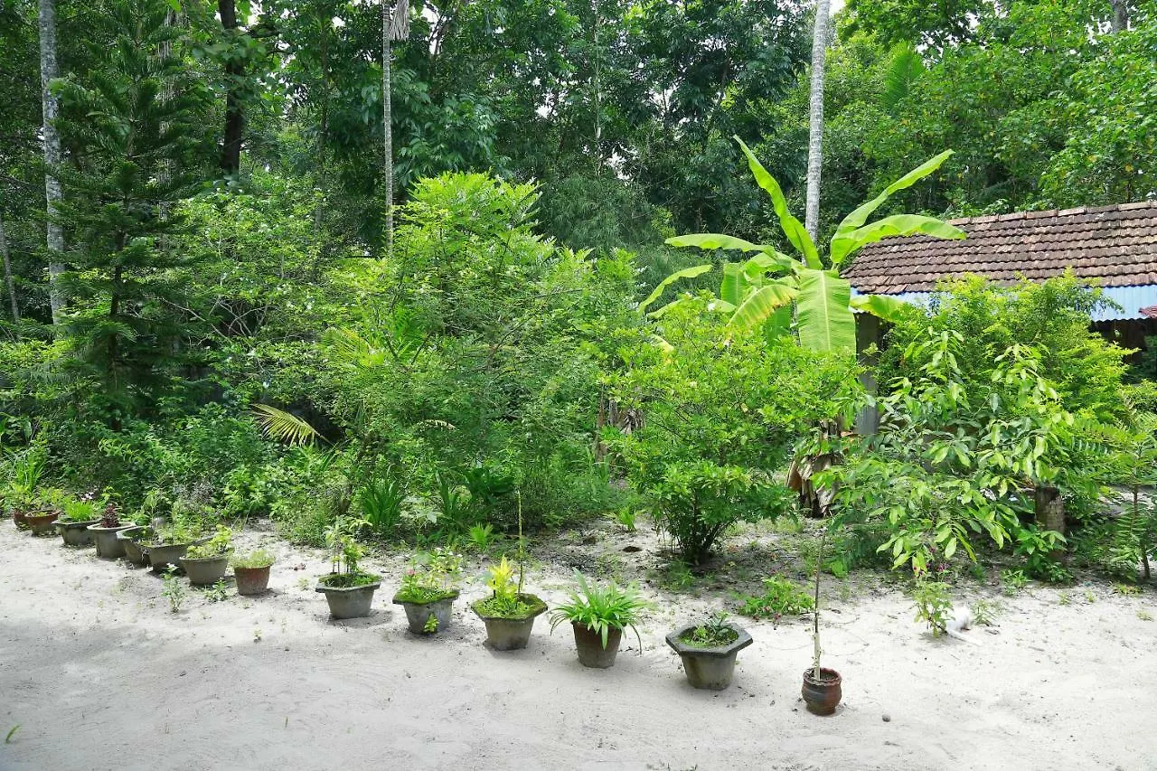 Marari Azhiyakathu Homestay Alappuzha India