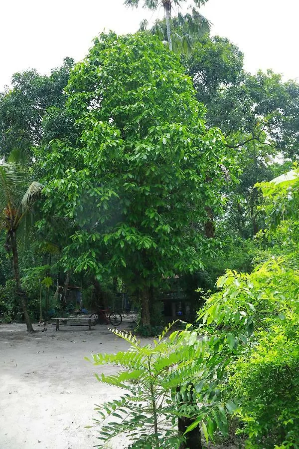 Marari Azhiyakathu Homestay Alappuzha