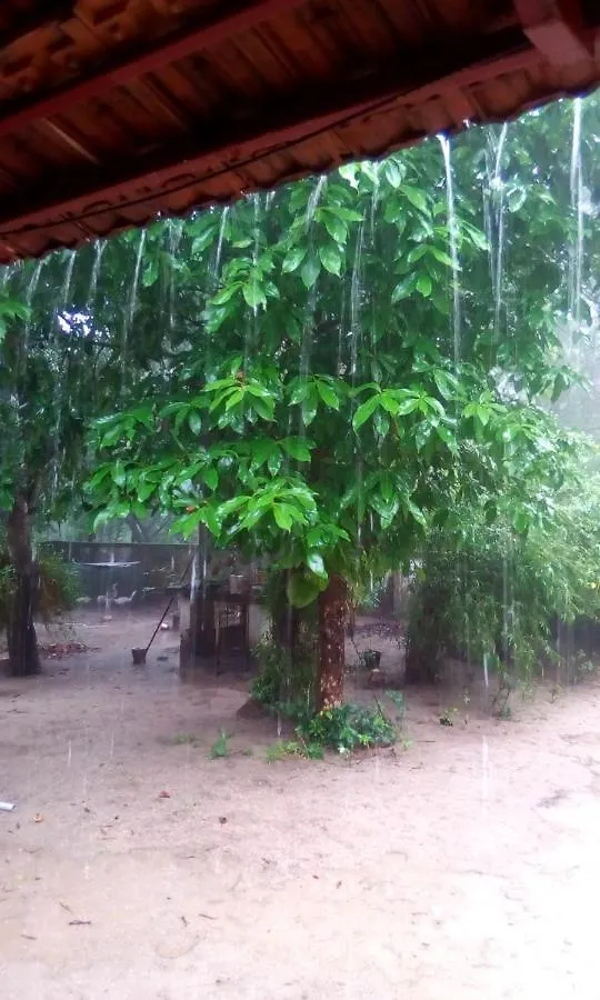 Marari Azhiyakathu Homestay Alappuzha
