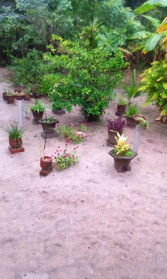 Marari Azhiyakathu Homestay Alappuzha India