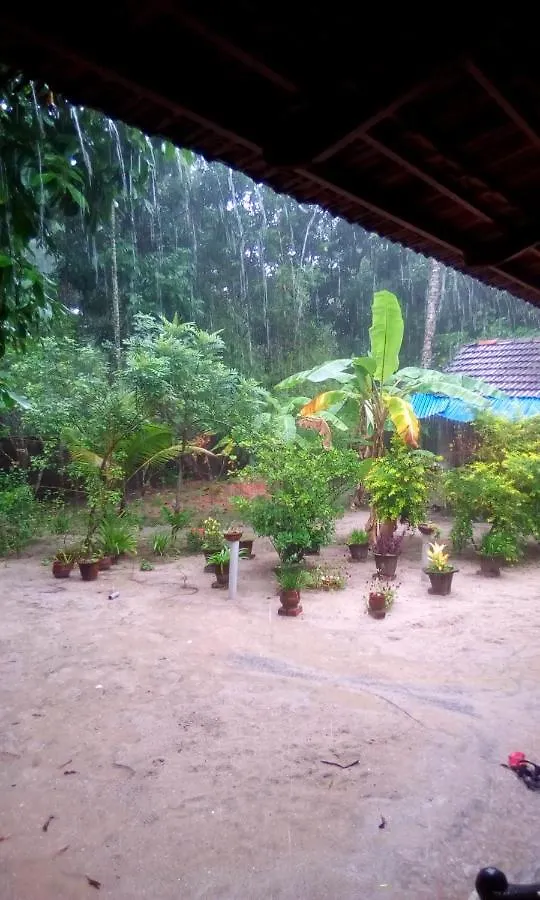 Marari Azhiyakathu Homestay Alappuzha 0*,  India