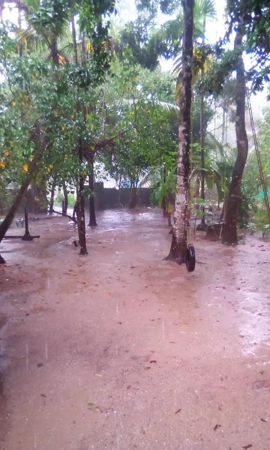 Marari Azhiyakathu Homestay Alappuzha India